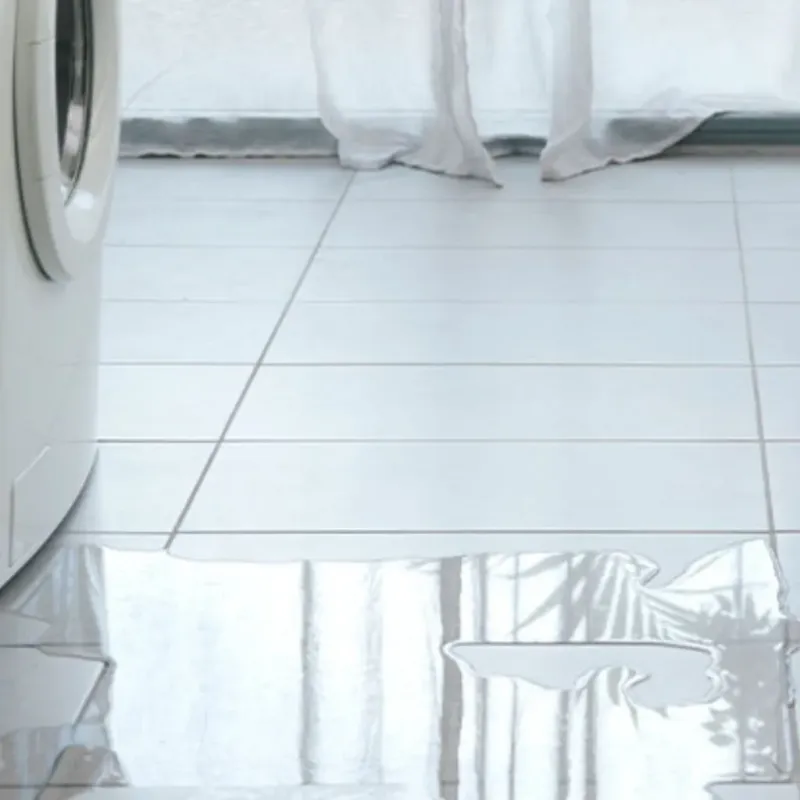 Appliance Leak Cleanup in Fruitland, MD