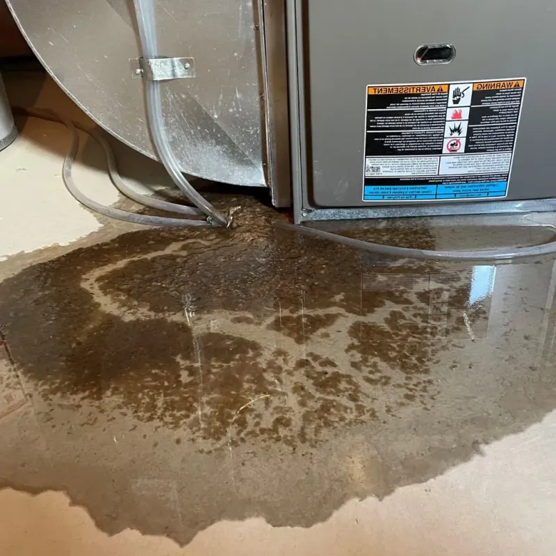 Pipe Burst and Leak Restoration in Fruitland, MD