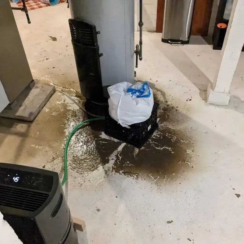 Sewage Backup Cleanup Service in Fruitland, MD